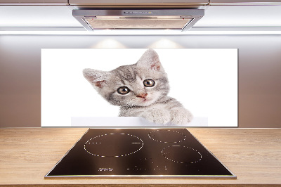 Panel para cocina gato gris