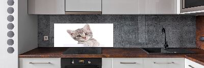 Panel para cocina gato gris