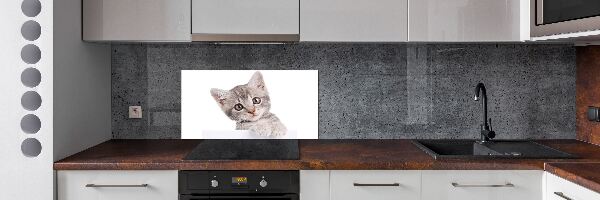 Panel para cocina gato gris