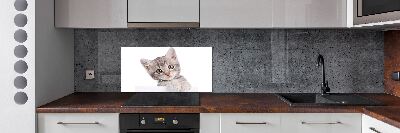 Panel para cocina gato gris