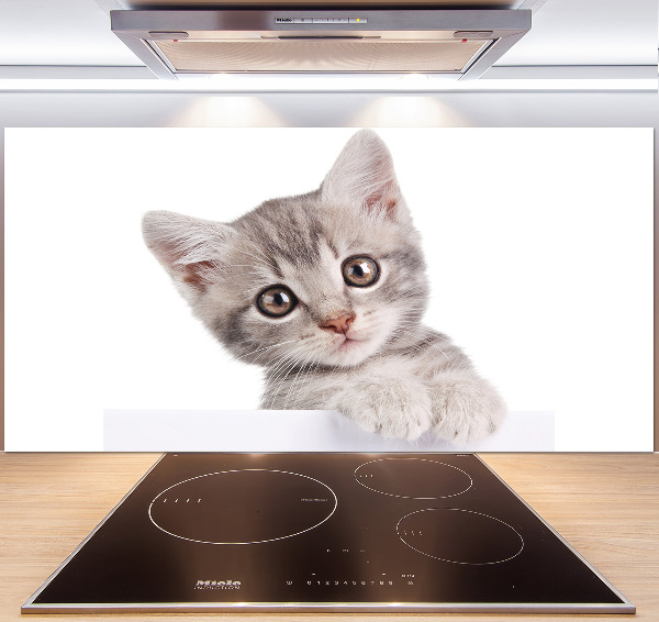 Panel para cocina gato gris