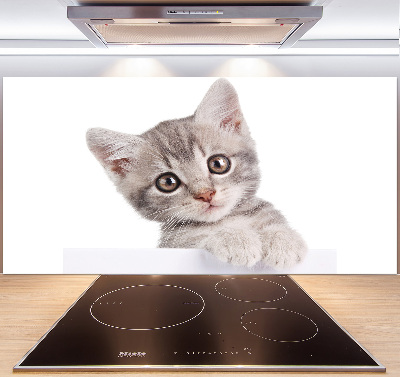Panel para cocina gato gris