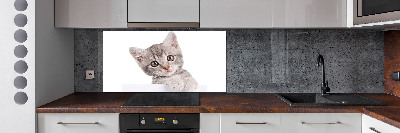 Panel para cocina gato gris