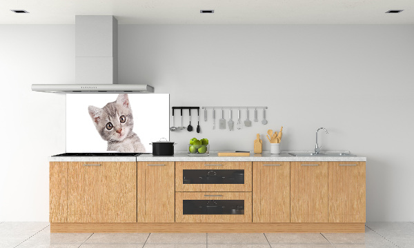 Panel para cocina gato gris