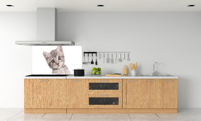 Panel para cocina gato gris
