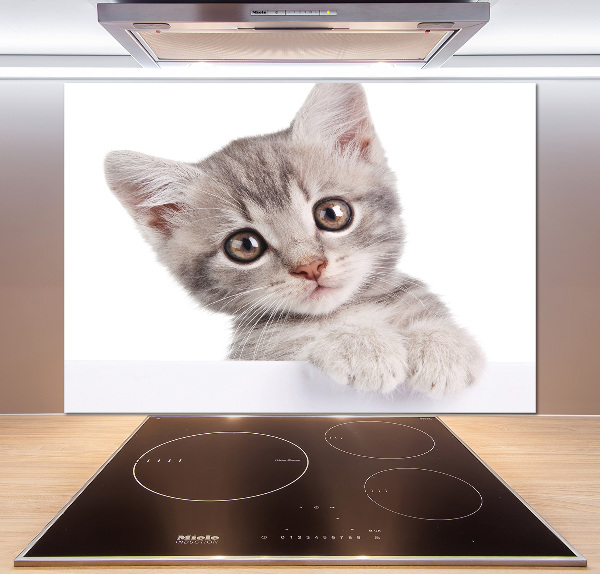 Panel para cocina gato gris