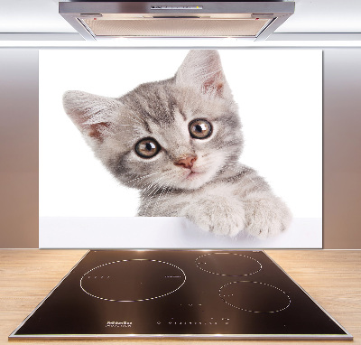 Panel para cocina gato gris