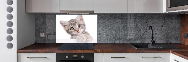 Panel para cocina gato gris
