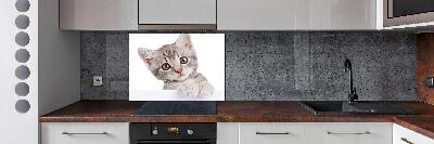 Panel para cocina gato gris