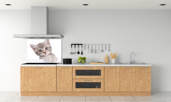 Panel para cocina gato gris