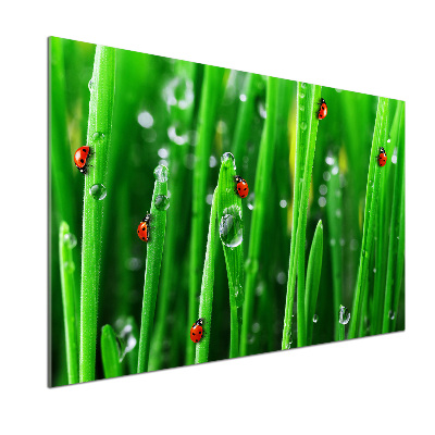 Salpicadero para cocina Mariquitas en la hierba