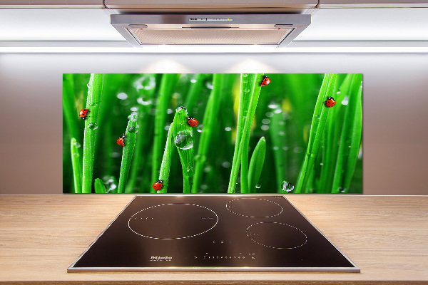 Salpicadero para cocina Mariquitas en la hierba