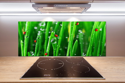 Salpicadero para cocina Mariquitas en la hierba