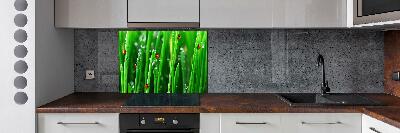 Panel lacobel Biedronki na trawie