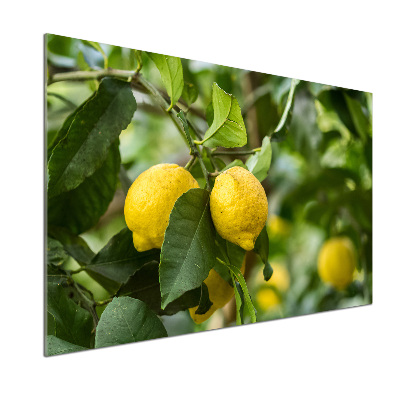 Salpicadero de cocina Limones en el árbol
