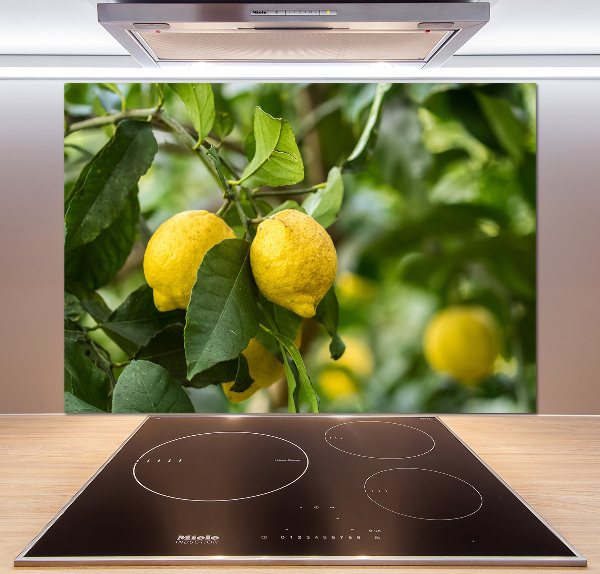 Salpicadero de cocina Limones en el árbol