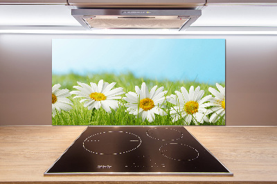 Panel de pared de cocina margaritas