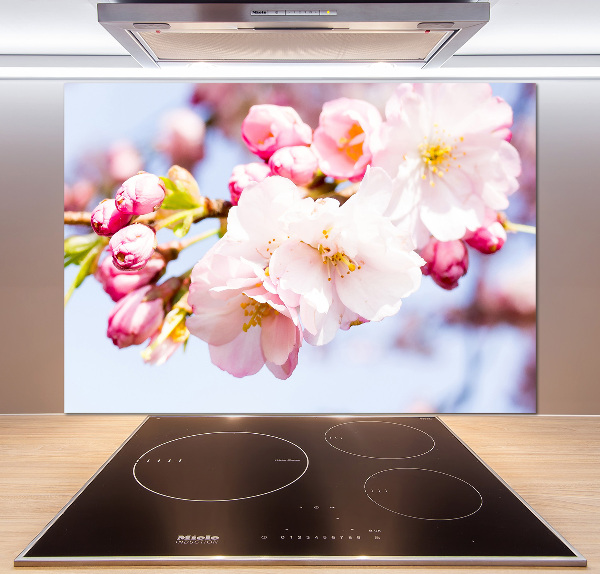 Panel para cocina flores de cerezo