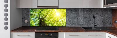 Panel antisalpicaduras Castaño en primavera