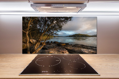 Panel antisalpicaduras Un árbol junto al río