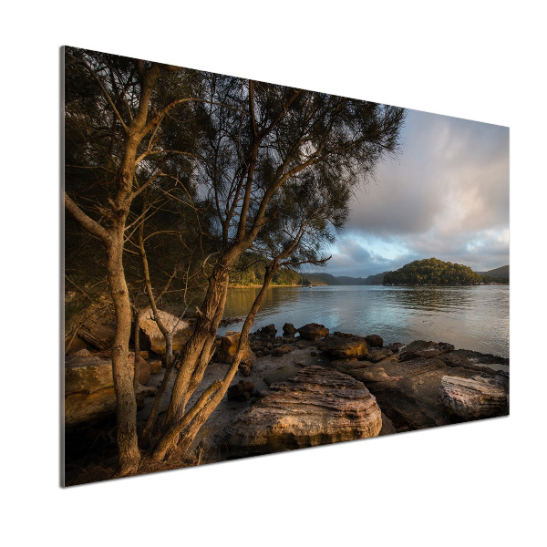 Panel antisalpicaduras Un árbol junto al río