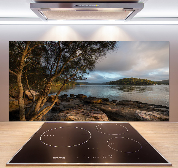 Panel antisalpicaduras Un árbol junto al río