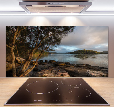 Panel antisalpicaduras Un árbol junto al río