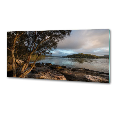 Panel antisalpicaduras Un árbol junto al río