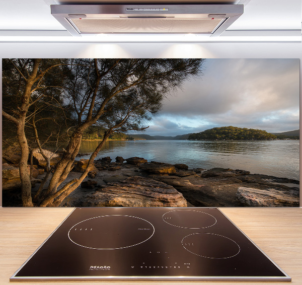 Panel antisalpicaduras Un árbol junto al río