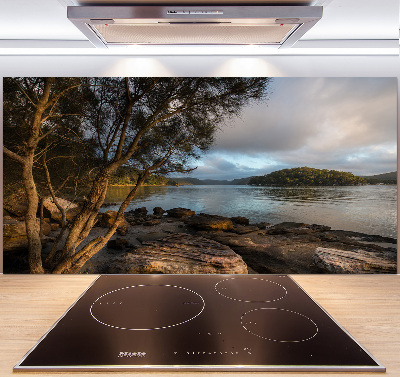 Panel antisalpicaduras Un árbol junto al río