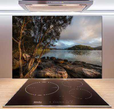 Panel antisalpicaduras Un árbol junto al río