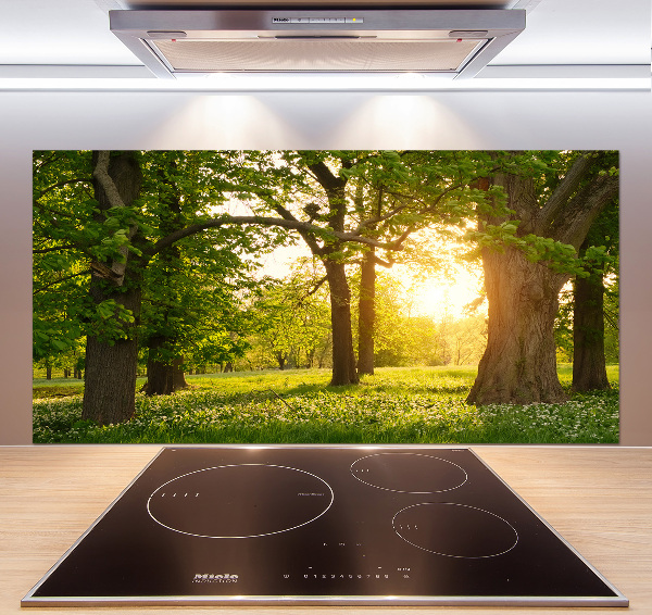 Panel para cocina Árboles en el parque