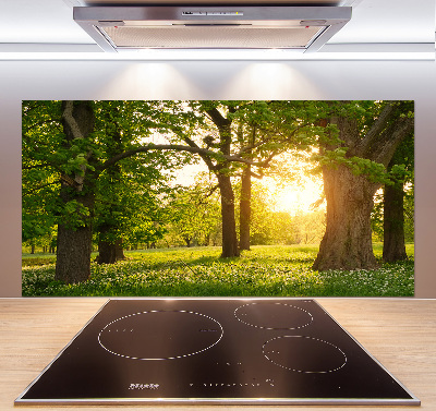 Panel para cocina Árboles en el parque