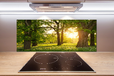 Panel para cocina Árboles en el parque