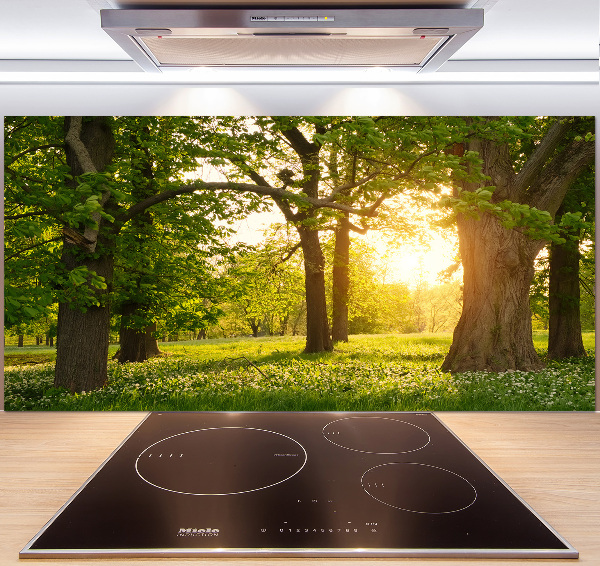 Panel para cocina Árboles en el parque