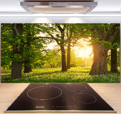 Panel para cocina Árboles en el parque