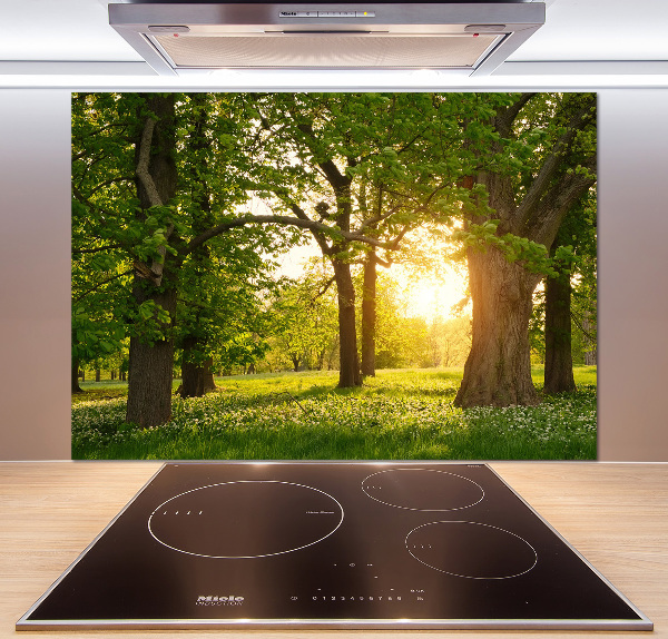 Panel para cocina Árboles en el parque