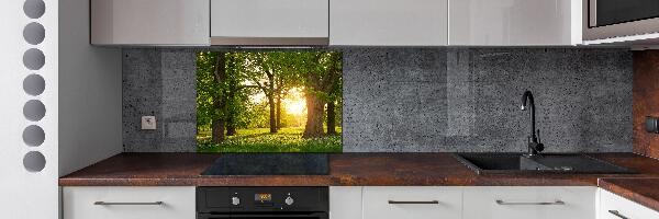 Panel para cocina Árboles en el parque