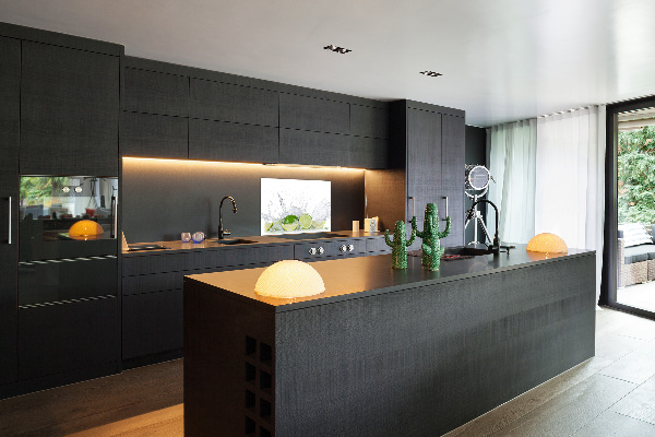 Panel de pared de cocina Limas y agua