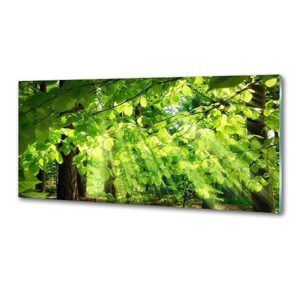 Panel dekor szkło Liście buku