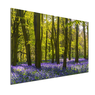 Salpicadero de cocina Bosque en primavera