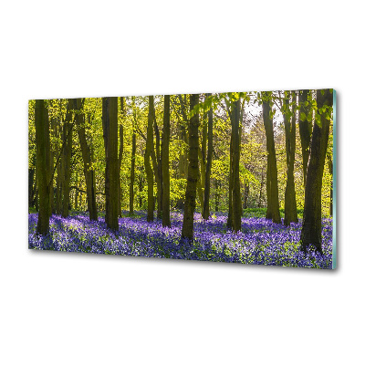 Salpicadero de cocina Bosque en primavera