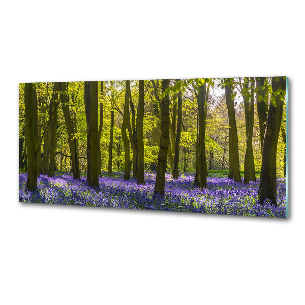 Salpicadero de cocina Bosque en primavera