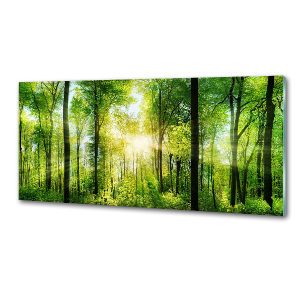 Panel antisalpicaduras Bosque al sol