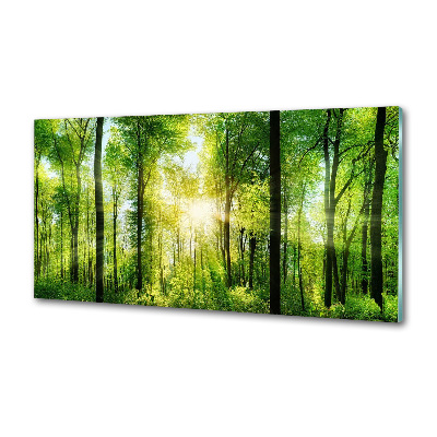 Panel antisalpicaduras Bosque al sol