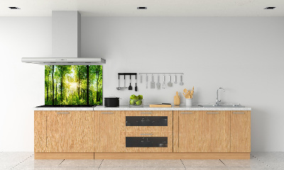 Panel antisalpicaduras Bosque al sol