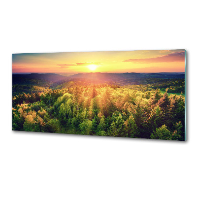 Panel para cocina Atardecer en el bosque