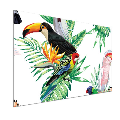 Panel para cocina aves tropicales