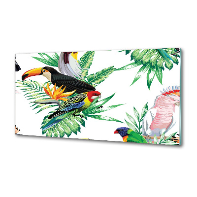 Panel para cocina aves tropicales