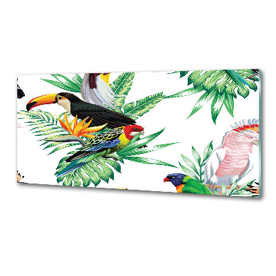 Panel para cocina aves tropicales